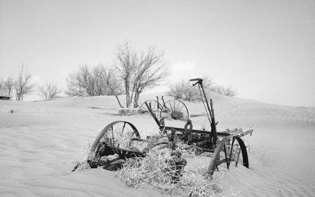 THE DUST BOWL · Visita comentada