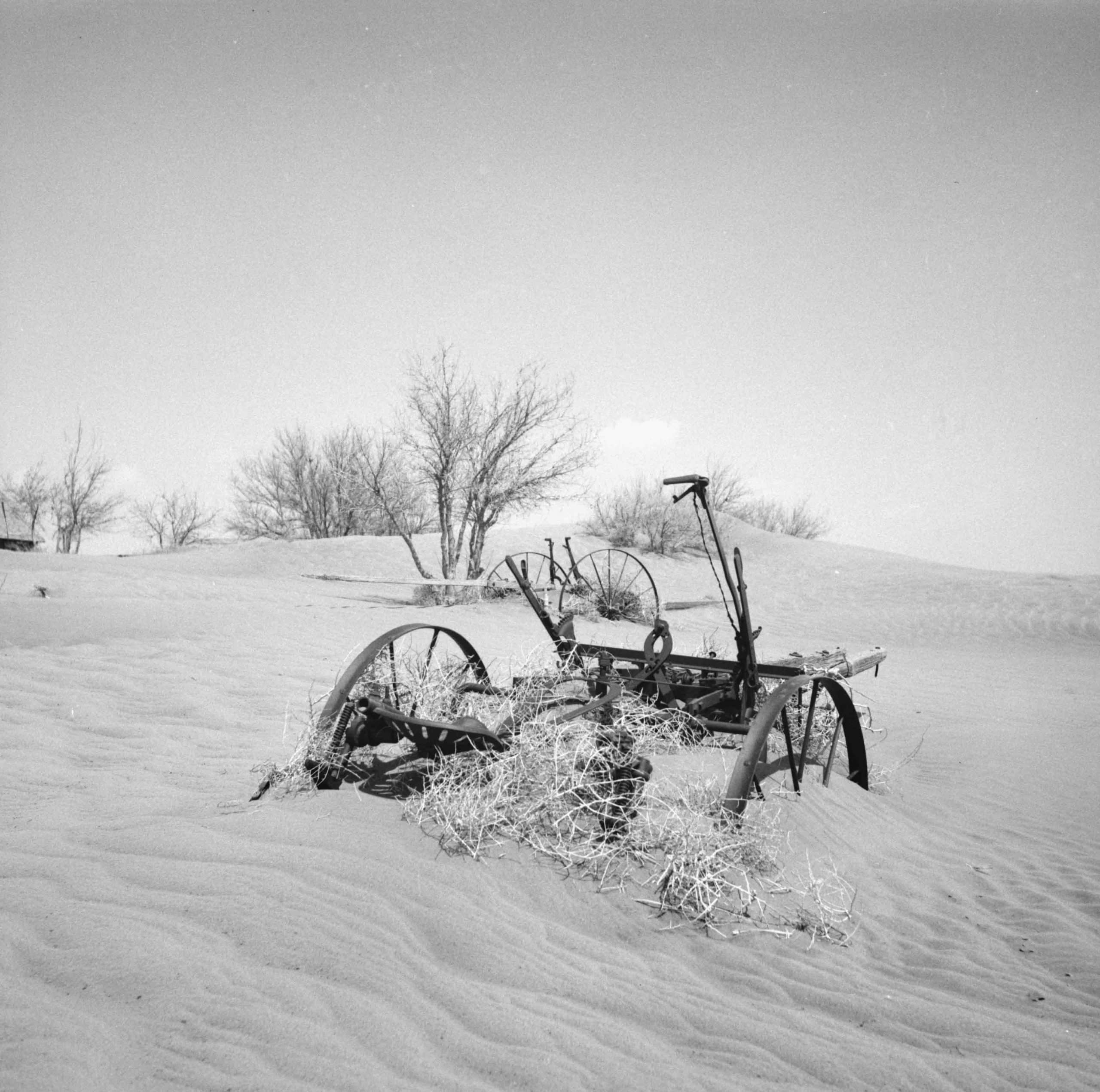 THE DUST BOWL · Visita comentada