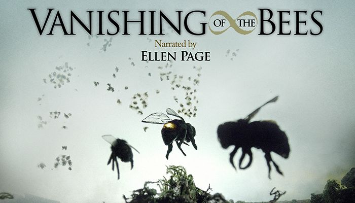 VANISHING OF THE BEES · Cinefòrum