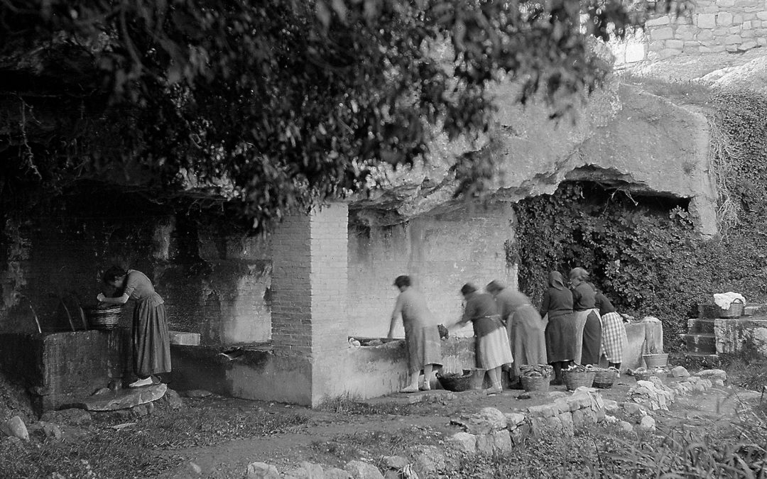 Memòries líquides. Veus dels safareigs