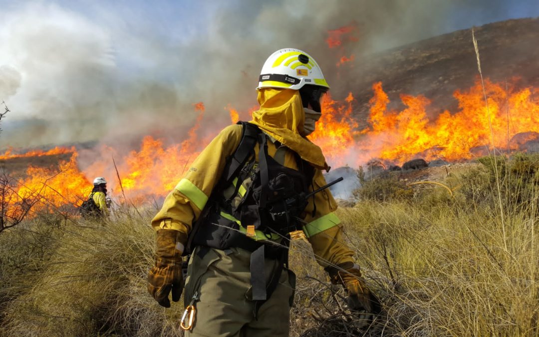 Jornada: La gestió del territori pot ser una eina de protecció davant dels incendis forestals?