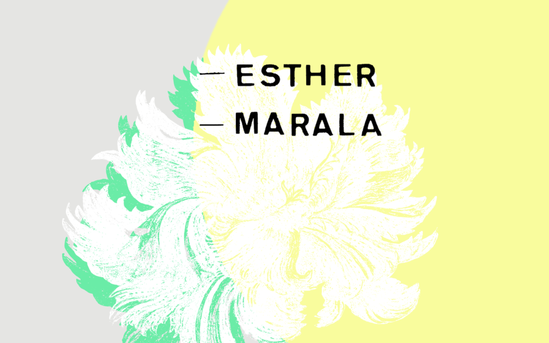 Doble concert. Esther Querol + Marala