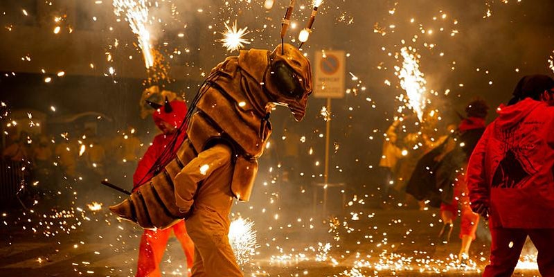 De la plaga a la festa: història i orígens de la Festa de la Fil·loxera