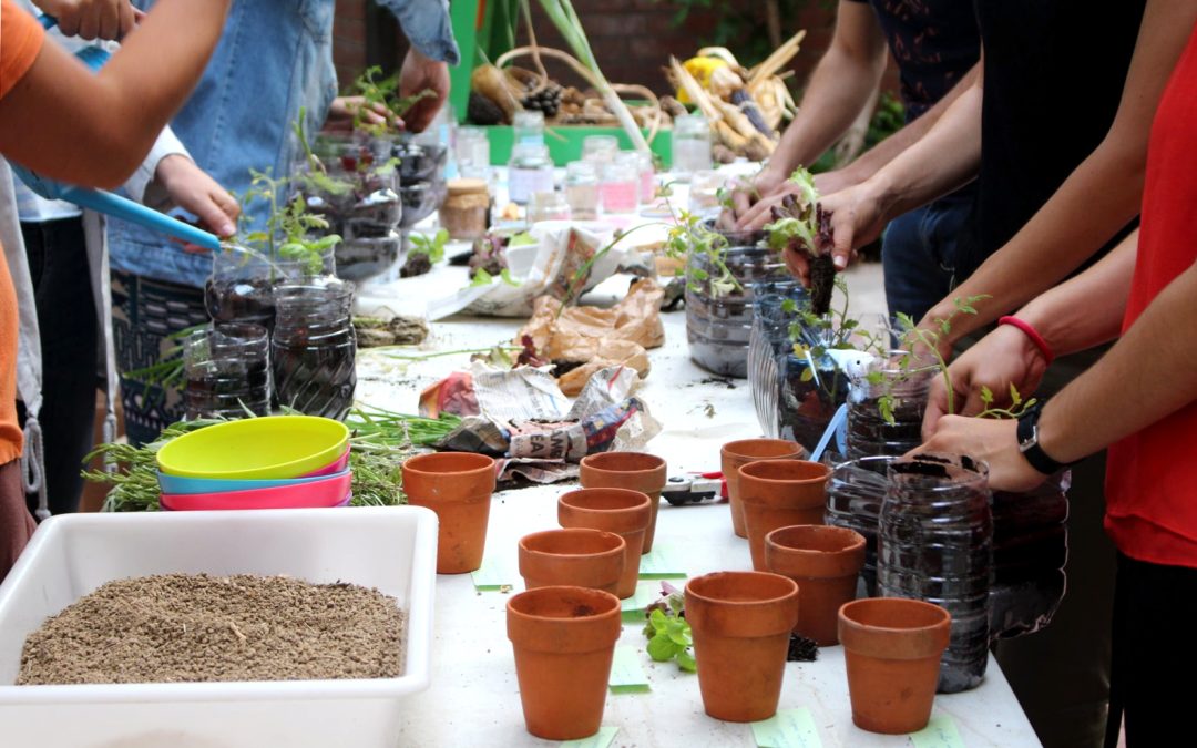 Curs de formació bàsica en horticultura ecològica