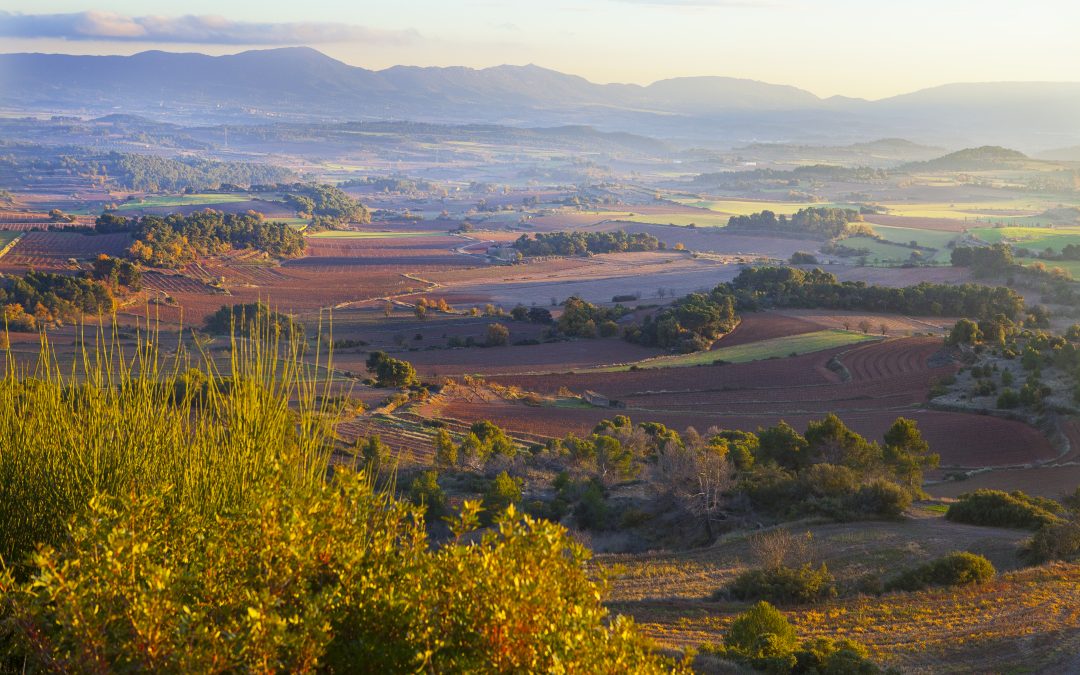 Jornada «Cultura i natura. Les comunitats humanes com a part del paisatge»