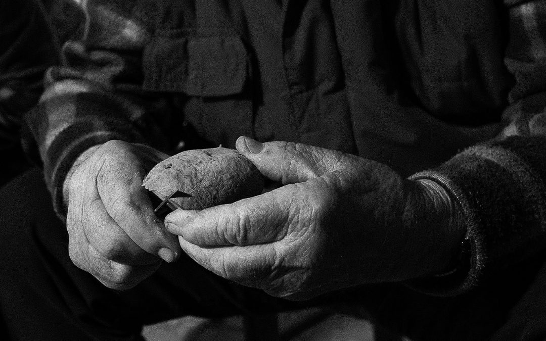 Article | Sobre la desconsideració dels sabers del món rural tradicional