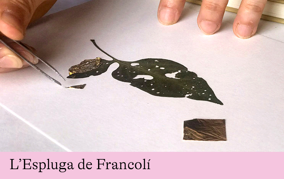 Taller de Kintsugi