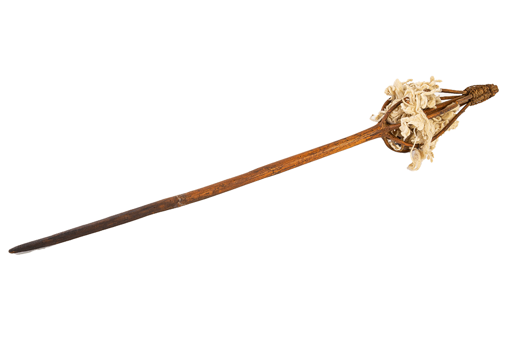 Filosa Museu Terra