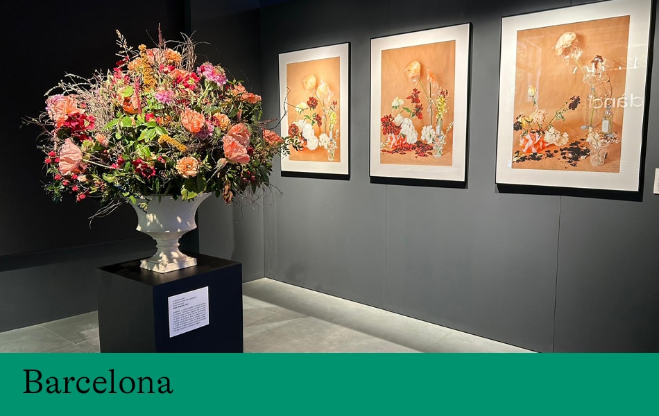 Visita especialitzada | Plàstic i orgànic, tensions des de l’art